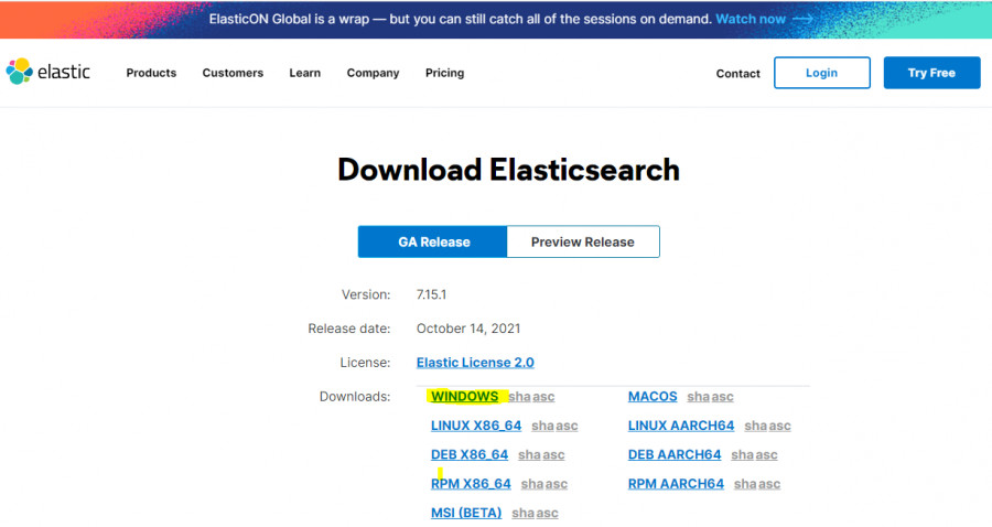 Elasticsearch Windows